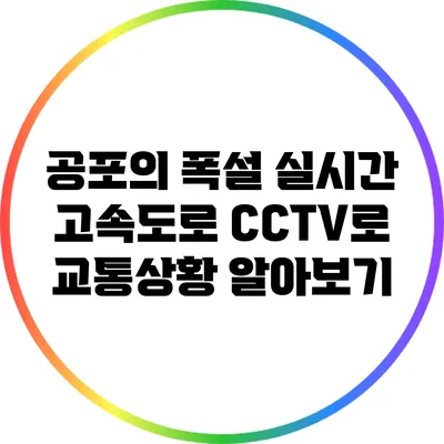 공포의 폭설: 실시간 고속도로 CCTV로 교통상황 알아보기