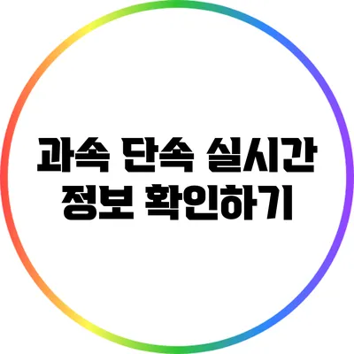 과속 단속 실시간 정보 확인하기