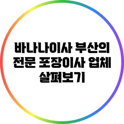 바나나이사: 부산의 전문 포장이사 업체 살펴보기
