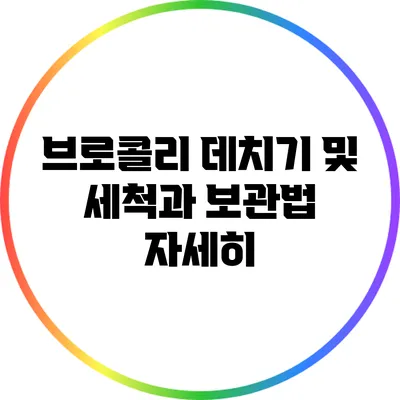 브로콜리 데치기 및 세척과 보관법 자세히