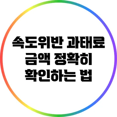 속도위반 과태료 금액 정확히 확인하는 법