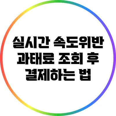 실시간 속도위반 과태료 조회 후 결제하는 법