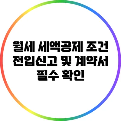월세 세액공제 조건: 전입신고 및 계약서 필수 확인