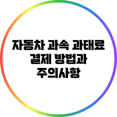 자동차 과속 과태료 결제 방법과 주의사항