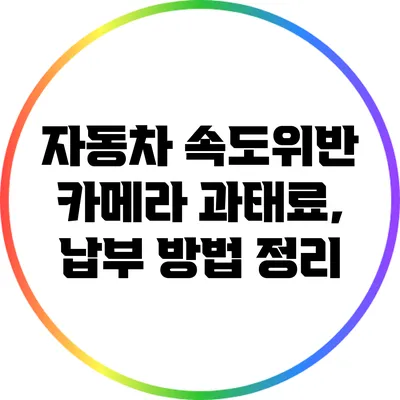 자동차 속도위반 카메라 과태료, 납부 방법 정리