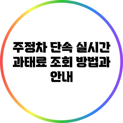 주정차 단속 실시간 과태료 조회 방법과 안내