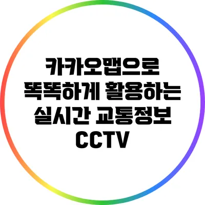카카오맵으로 똑똑하게 활용하는 실시간 교통정보 CCTV