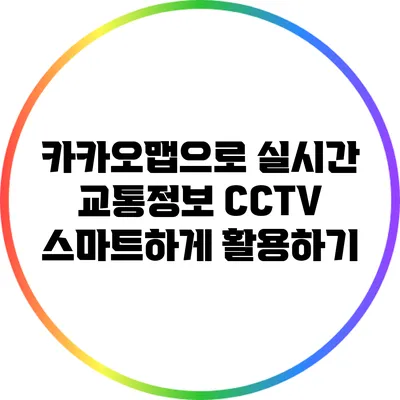 카카오맵으로 실시간 교통정보 CCTV 스마트하게 활용하기
