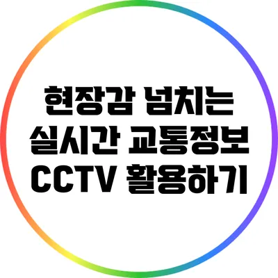 현장감 넘치는 실시간 교통정보 CCTV 활용하기