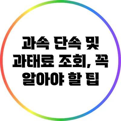 과속 단속 및 과태료 조회, 꼭 알아야 할 팁