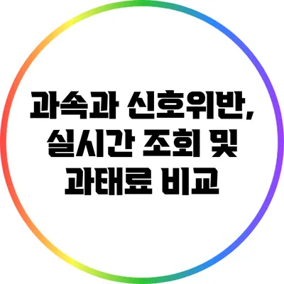 과속과 신호위반, 실시간 조회 및 과태료 비교
