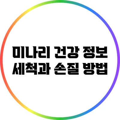 미나리 건강 정보: 세척과 손질 방법