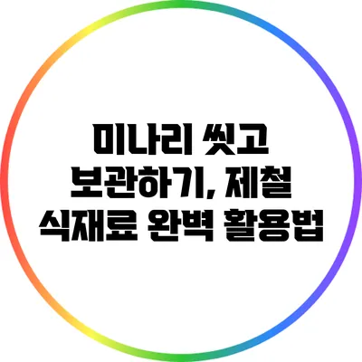 미나리 씻고 보관하기, 제철 식재료 완벽 활용법