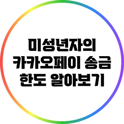 미성년자의 카카오페이 송금 한도 알아보기