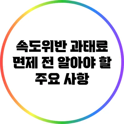 속도위반 과태료 면제 전 알아야 할 주요 사항
