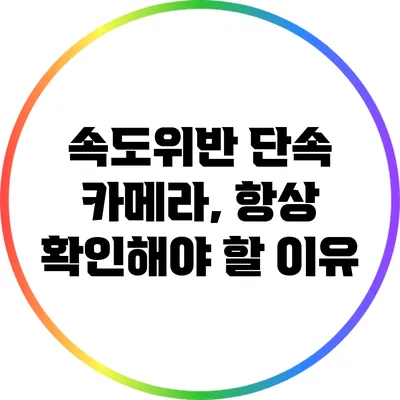 속도위반 단속 카메라, 항상 확인해야 할 이유