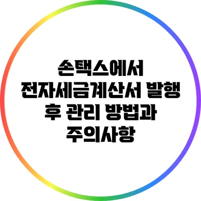 손택스에서 전자세금계산서 발행 후 관리 방법과 주의사항