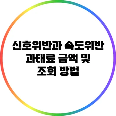 신호위반과 속도위반 과태료 금액 및 조회 방법