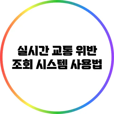 실시간 교통 위반 조회 시스템 사용법