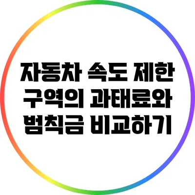 자동차 속도 제한 구역의 과태료와 범칙금 비교하기