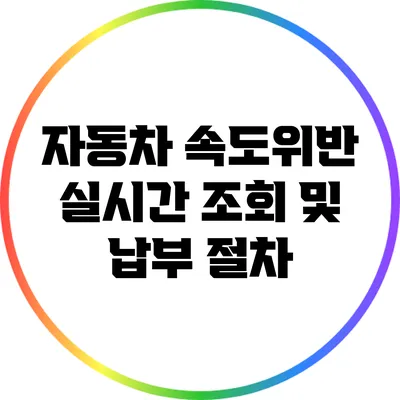 자동차 속도위반 실시간 조회 및 납부 절차