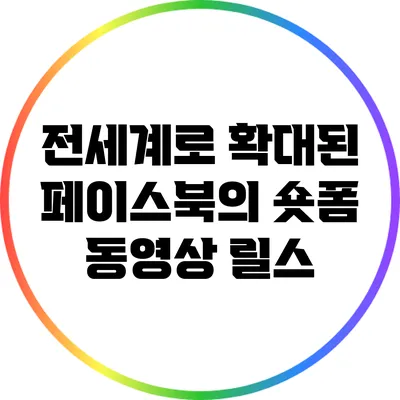 전세계로 확대된 페이스북의 숏폼 동영상 릴스