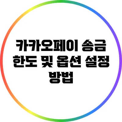 카카오페이 송금 한도 및 옵션 설정 방법