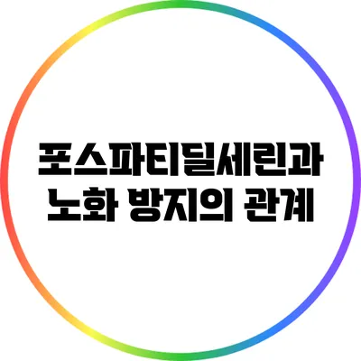 포스파티딜세린과 노화 방지의 관계