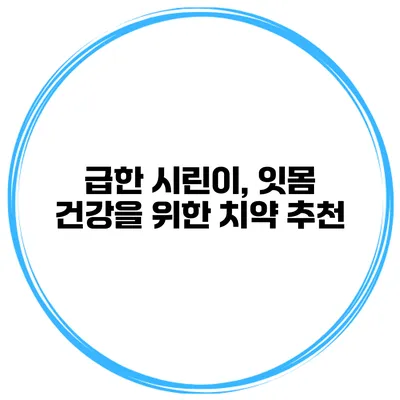 급한 시린이, 잇몸 건강을 위한 치약 추천