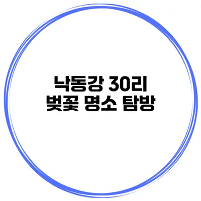 낙동강 30리 벚꽃 명소 탐방