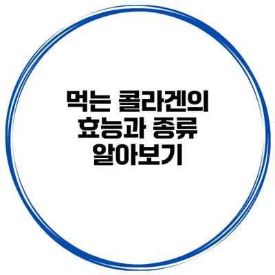 먹는 콜라겐의 효능과 종류 알아보기