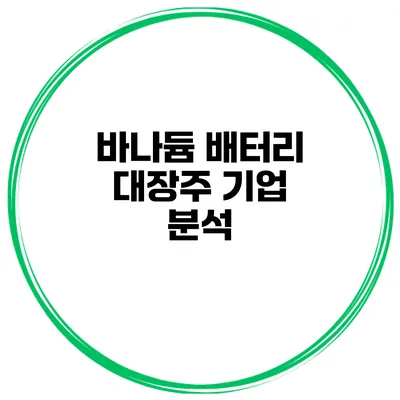 바나듐 배터리 대장주 기업 분석