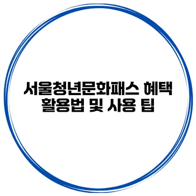 서울청년문화패스 혜택 활용법 및 사용 팁
