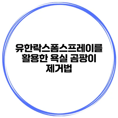 유한락스폼스프레이를 활용한 욕실 곰팡이 제거법