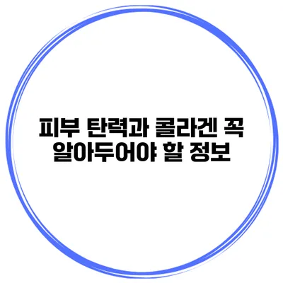 피부 탄력과 콜라겐 꼭 알아두어야 할 정보