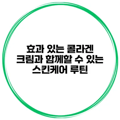 효과 있는 콜라겐 크림과 함께할 수 있는 스킨케어 루틴