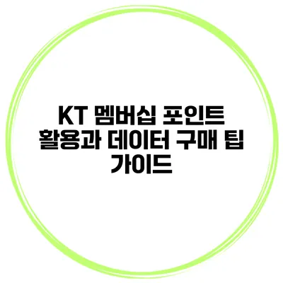 KT 멤버십 포인트 활용과 데이터 구매 팁 가이드