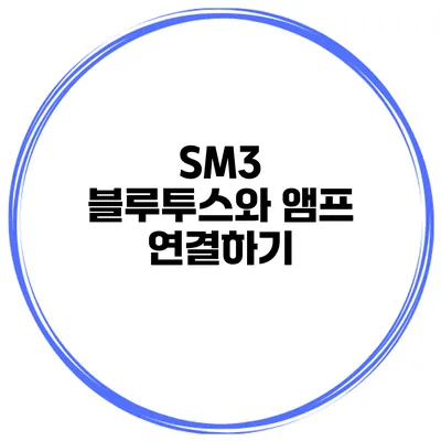 SM3 블루투스와 앰프 연결하기