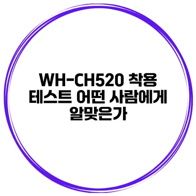 WH-CH520 착용 테스트 어떤 사람에게 알맞은가?
