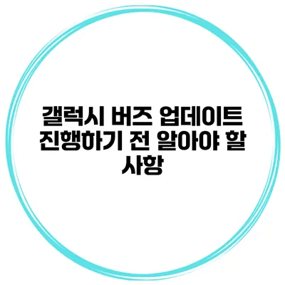 갤럭시 버즈 업데이트 진행하기 전 알아야 할 사항