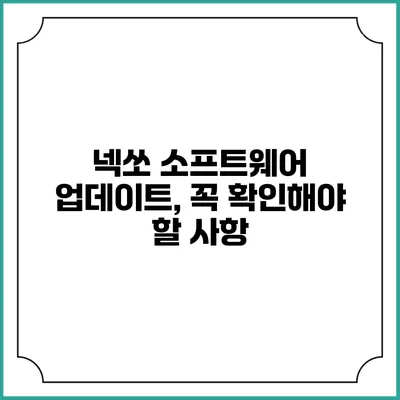 넥쏘 소프트웨어 업데이트, 꼭 확인해야 할 사항