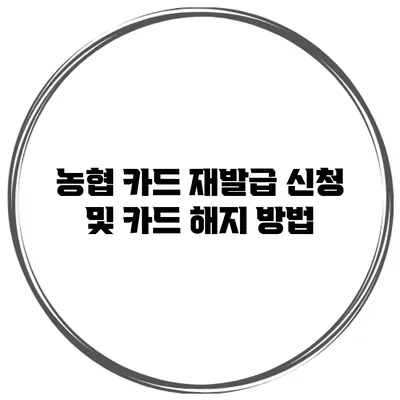 농협 카드 재발급 신청 및 카드 해지 방법