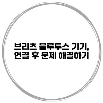 브리츠 블루투스 기기, 연결 후 문제 해결하기