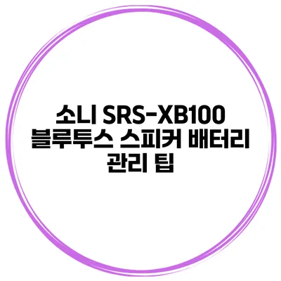 소니 SRS-XB100 블루투스 스피커 배터리 관리 팁