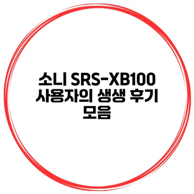 소니 SRS-XB100 사용자의 생생 후기 모음
