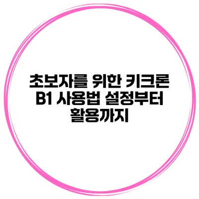 초보자를 위한 키크론 B1 사용법 설정부터 활용까지